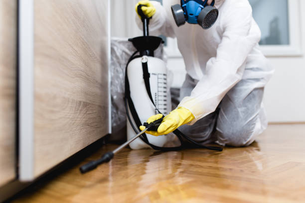 Best Rat Extermination Near Me  in Spencerville, NM