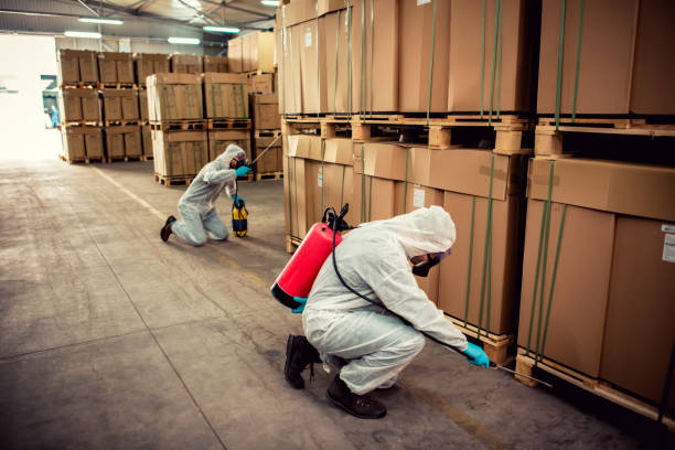 Best Bed Bug Extermination  in Spencerville, NM