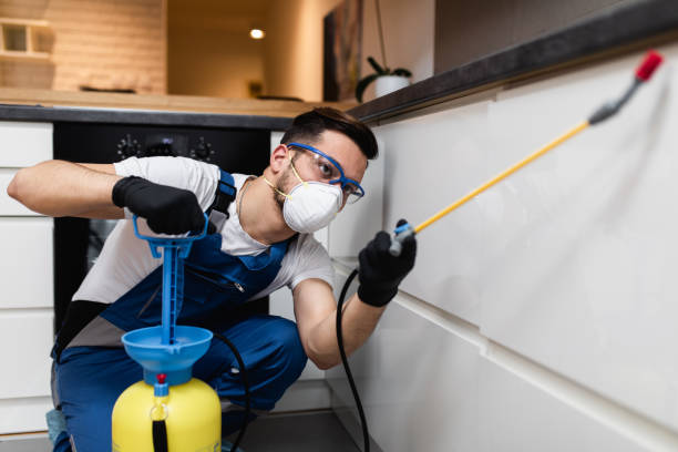 Best Local Pest Control Services  in Spencerville, NM