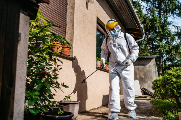 Best Affordable Pest Control Services  in Spencerville, NM