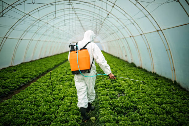 Best Pest Removal Services  in Spencerville, NM