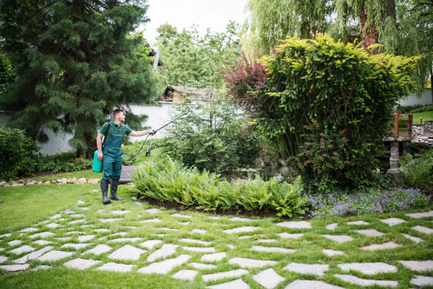 Best Pest Control Cost  in Spencerville, NM