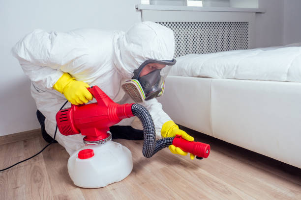 Best Mosquito Control Services  in Spencerville, NM