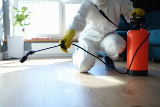 Best Commercial Pest Control Services  in Spencerville, NM