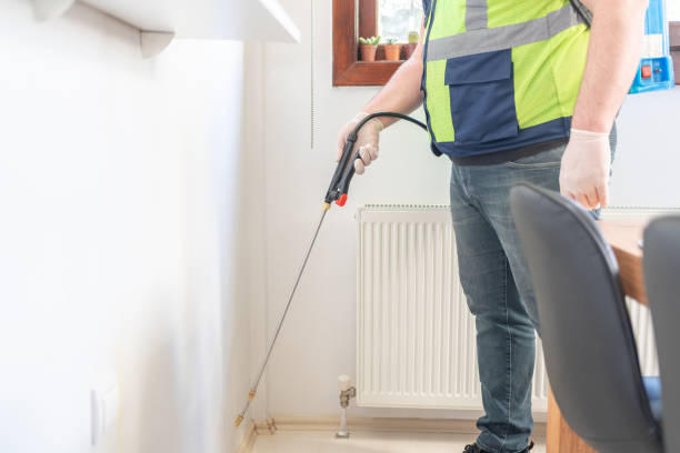 Best Wasp Removal Services  in Spencerville, NM