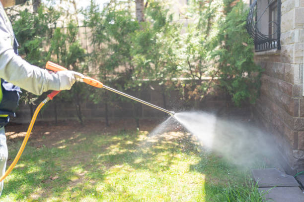 Best Cockroach Control Services  in Spencerville, NM