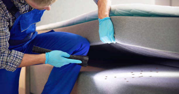 Best Best Pest Control Companies  in Spencerville, NM