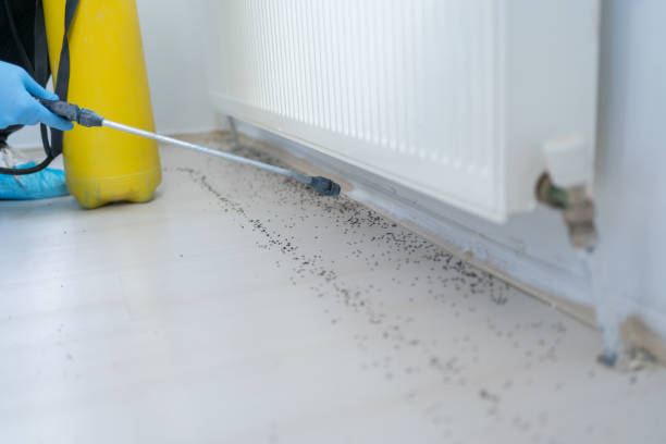 Best Pest Prevention Services  in Spencerville, NM