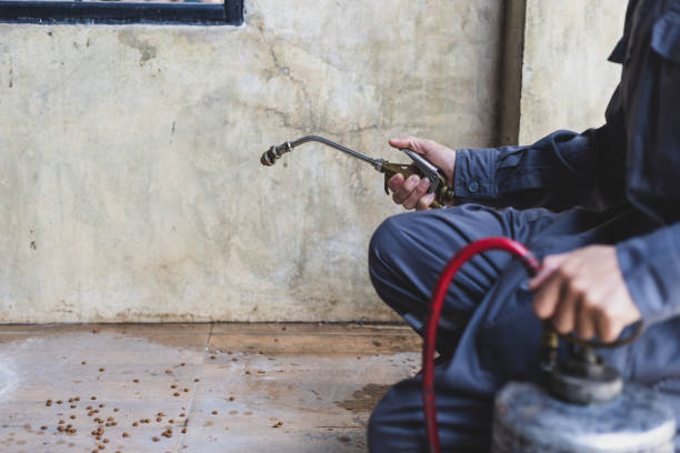 Pest Control Cost in Spencerville, NM